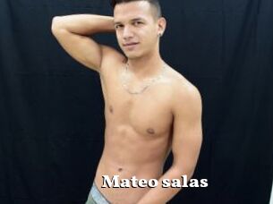 Mateo_salas
