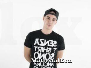 Mattestallion
