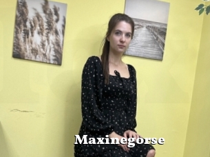 Maxinegorse