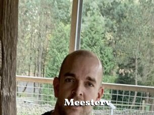 Meesterv
