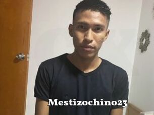 Mestizochino23