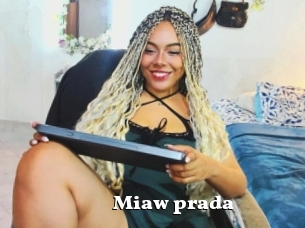 Miaw_prada