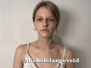 Michelelangeveld