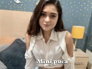 Mini_puca