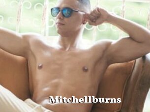 Mitchellburns