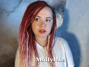 Mollybuls