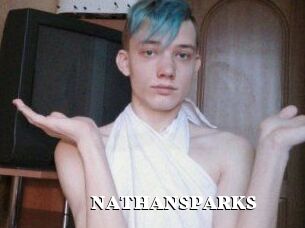 NATHAN_SPARKS