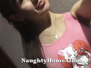 NaughtyHomeAlone