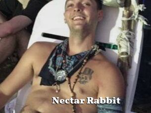 Nectar_Rabbit