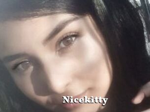 Nicekitty