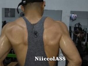 NiiccolASS