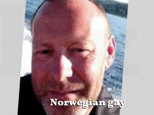 Norwegian_gay