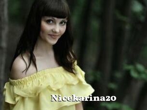 Nicekarina20