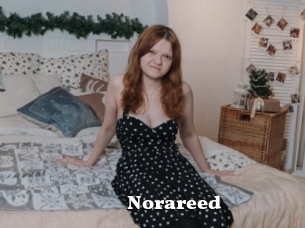 Norareed