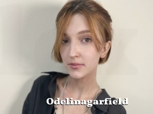 Odelinagarfield