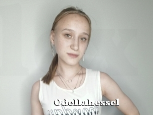 Odellahessel