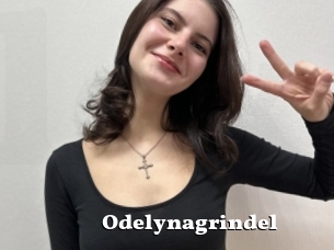 Odelynagrindel