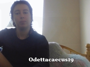 Odettacaecus19
