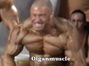 Oigan_muscle