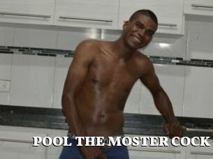 POOL_THE_MOSTER_COCK