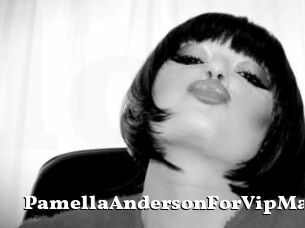 PamellaAndersonForVipMan
