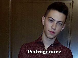 Pedrogenove