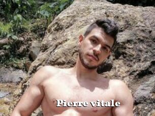 Pierre_vitale