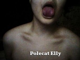 Polecat_Elly