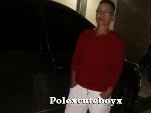 Polexcuteboyx