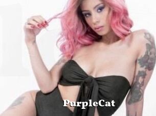 PurpleCat