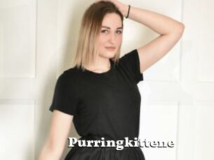 Purringkittene