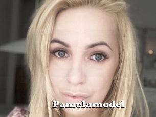 Pamelamodel