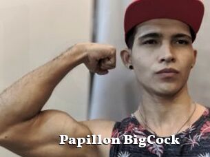 Papillon_BigCock