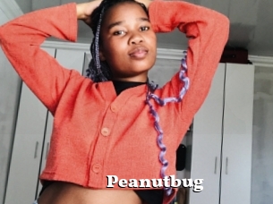 Peanutbug