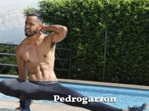 Pedrogarzon
