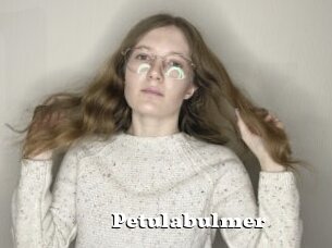 Petulabulmer