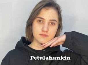 Petulahankin
