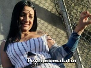 Peytonumalatin
