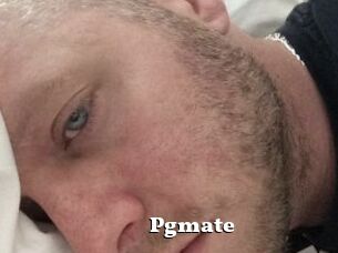 Pgmate