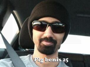 Pig_benis_25