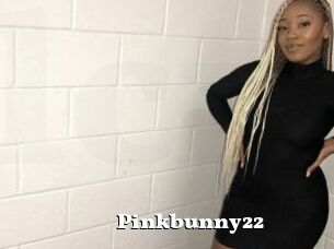 Pinkbunny22