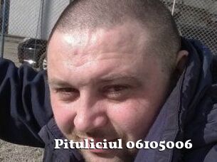 Pituliciul-06105006