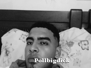 Pollbigdick