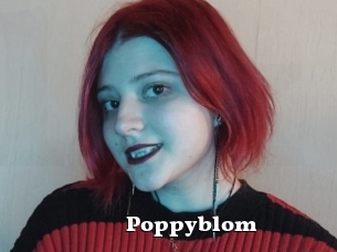 Poppyblom