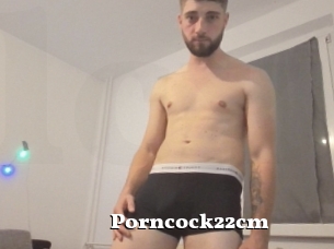 Porncock22cm