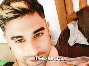 Pricklykat