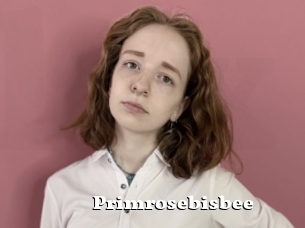 Primrosebisbee