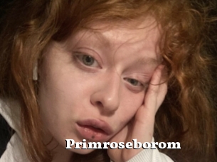 Primroseborom
