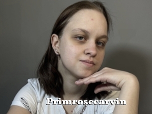 Primrosecarvin