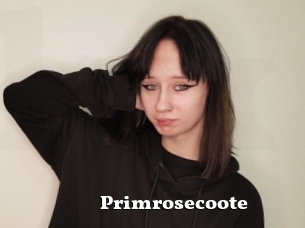 Primrosecoote